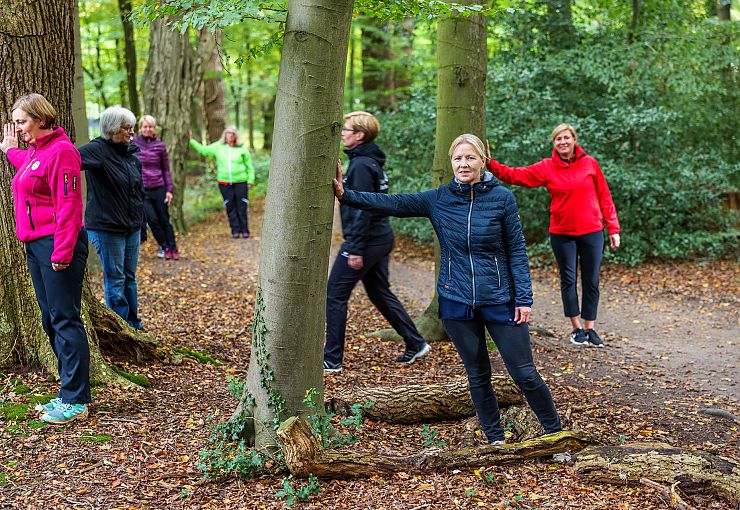 Rückkehr von Long Covid ins Leben mit Waldbaden in der Natur